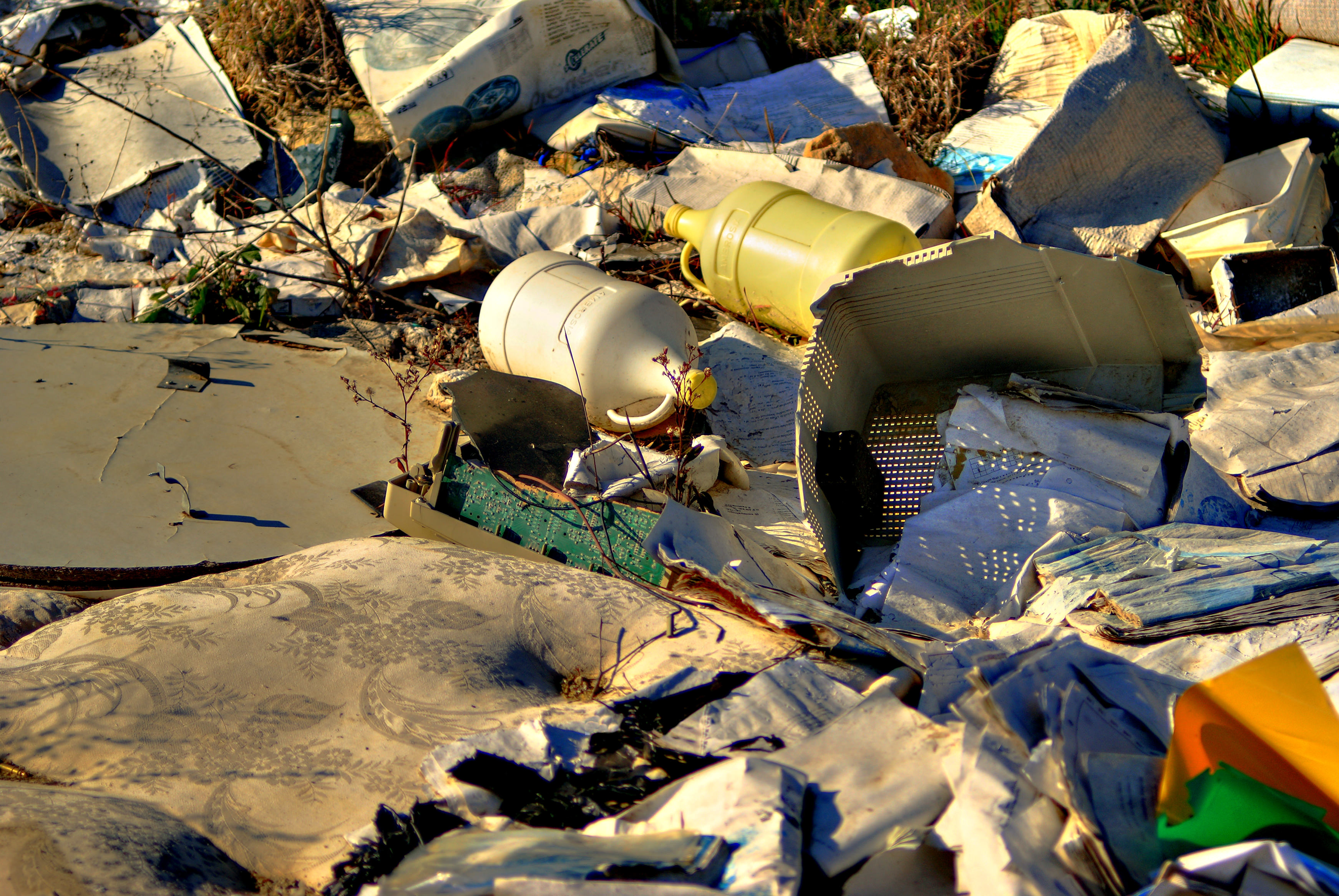 Giornata per la sensibilizzazione dell'ambiente circostante