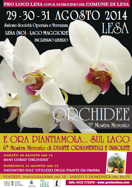 lesa_mostra mercato orchidee