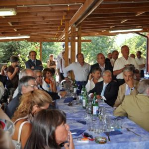 Formica d'oro Nicolazzi (6)