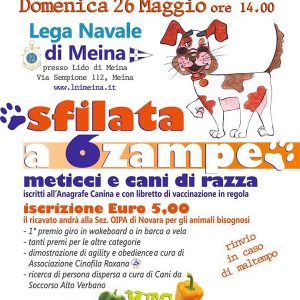 sfilata a 6 zampe locandina meina