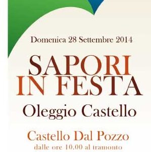 sapinfesta2014