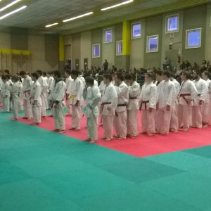 judo invorio