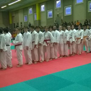 judo invorio