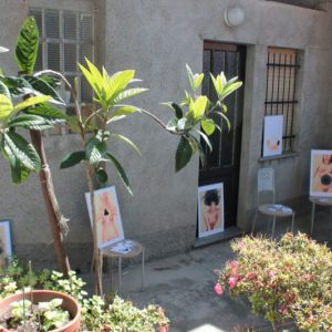 arte nella corte 2015-22