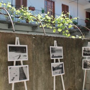 arte nella corte 2015-30