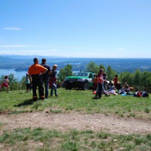 festa alberi03