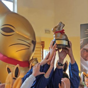 gold-bunny-lesa-2016-13