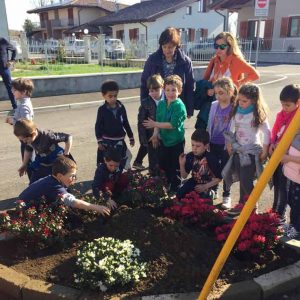 festa degli alberi 2017 invorio 3
