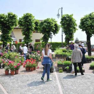 Giardinidea-Gignese-2giugno-6-5