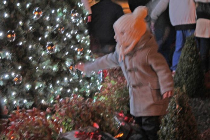 accensione-albero-natale-arona-13